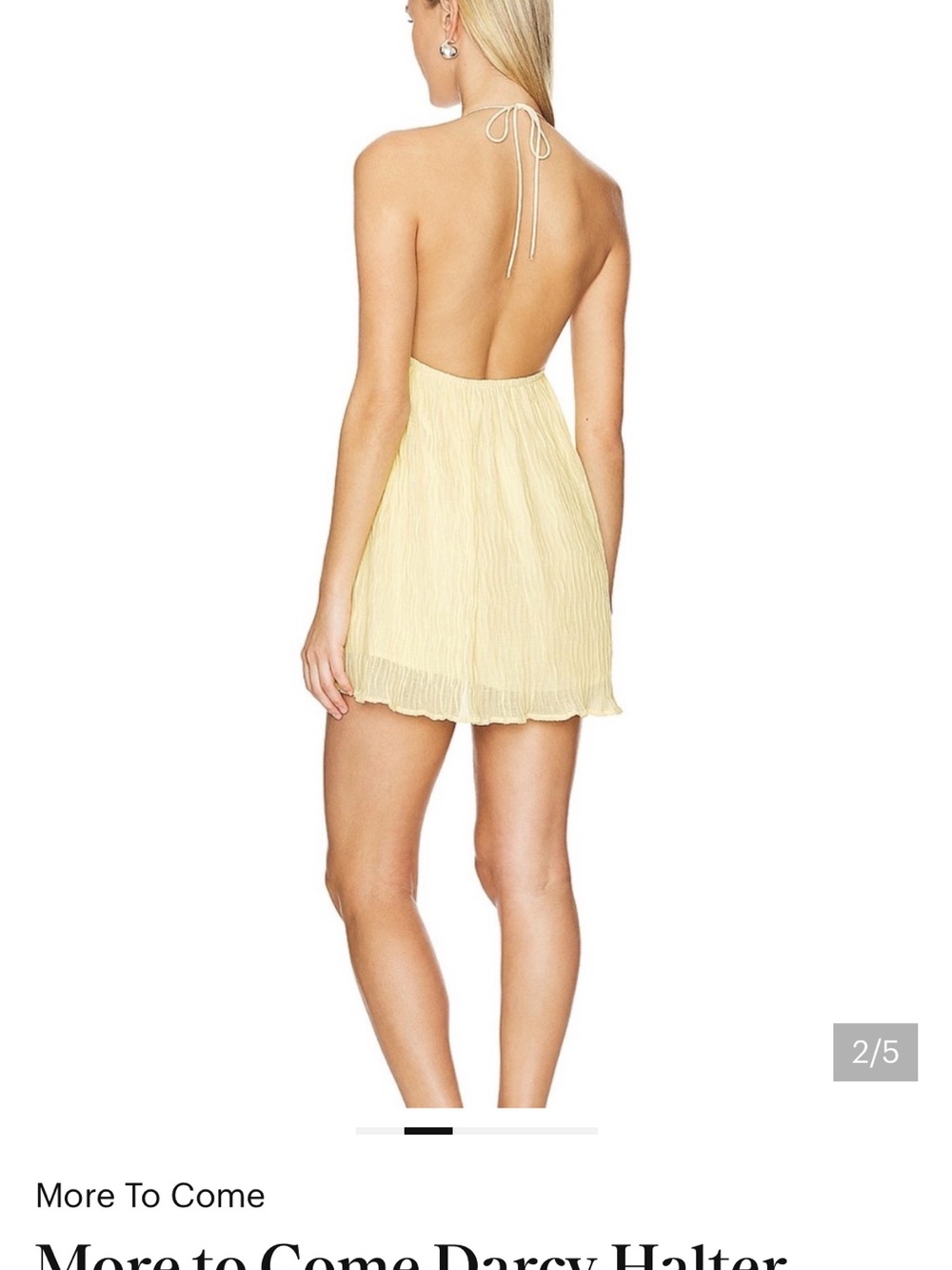 More to come Darcy halter
